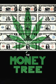 The Moneytree The Moneytree