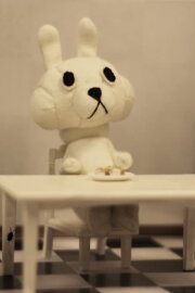 The Mystery of the Rabbit's Death The Mystery of the Rabbit's Death