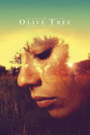 The Olive Tree The Olive Tree