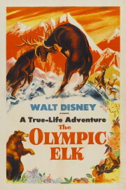 The Olympic Elk