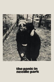 The Panic in Needle Park The Panic in Needle Park