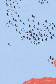 The Penguin Who Couldn’t Swim
