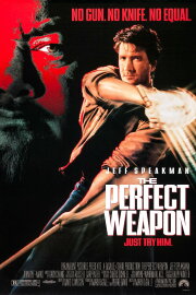 The Perfect Weapon The Perfect Weapon