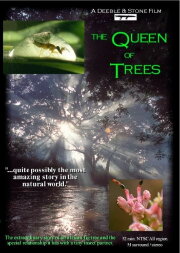 The Queen of Trees The Queen of Trees