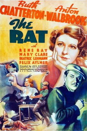 The Rat The Rat