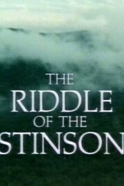 The Riddle of the Stinson The Riddle of the Stinson