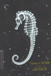 The Sea Horse