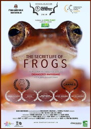 The Secret Life of Frogs The Secret Life of Frogs