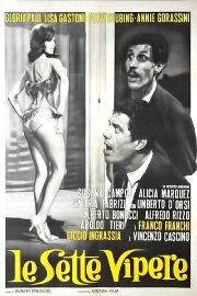 The Seven Vipers (The Latin Husband)