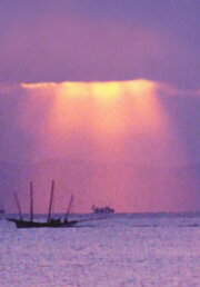 The Shiranui Sea