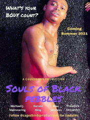 The Souls of Black Pebbles The Souls of Black Pebbles