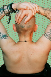 The Stars We Are