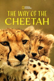 The Way of the Cheetah The Way of the Cheetah