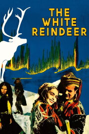The White Reindeer