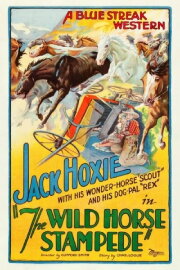 The Wild Horse Stampede