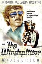 The Windsplitter The Windsplitter
