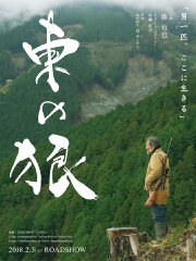 The Wolves of the East
