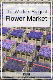 The World's Biggest Flower Market The World's Biggest Flower Market