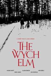 The Wych Elm