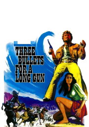 Three Bullets... for a Long Gun