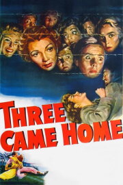 Three Came Home