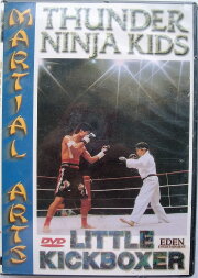 Thunder Ninja Kids 5: Little Kickboxer