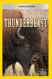 Thunderbeast