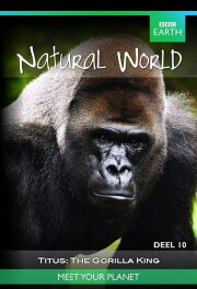 Titus: The Gorilla King Titus: The Gorilla King