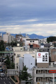 Tokyo905 Tokyo905