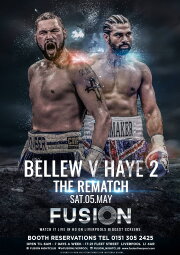 Tony Bellew vs. David Haye II