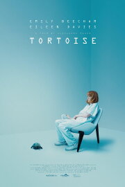 Tortoise Tortoise