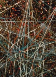 Toying with Strings