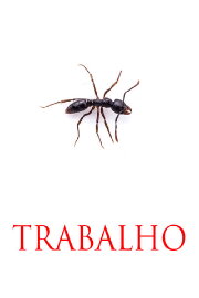 TRABALHO
