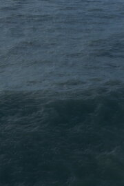Twenty Nine Minutes at Sea Twenty Nine Minutes at Sea