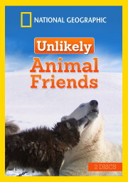 Unlikely Animal Friends Unlikely Animal Friends