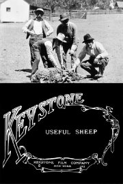 Useful Sheep
