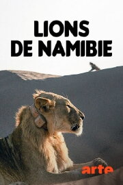 Vanishing Kings: Desert Lions of the Namib
