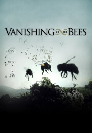 Vanishing of the Bees Vanishing of the Bees