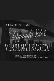 Verbena trágica