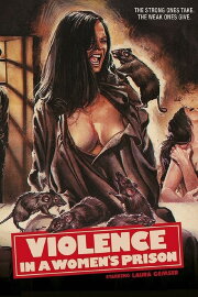 Violence in a Women's Prison Violence in a Women's Prison