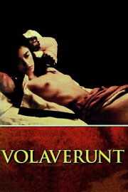 Volaverunt Volaverunt