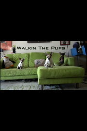 Walkin The Pups