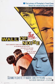 Wall of Noise Wall of Noise