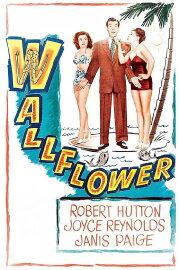 Wallflower Wallflower