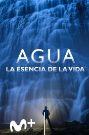 Water; Life's essence Water; Life's essence