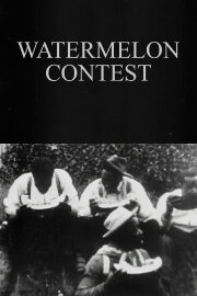 Watermelon Contest Watermelon Contest