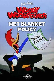 Wet Blanket Policy Wet Blanket Policy