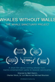 Whales Without Walls Whales Without Walls