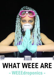 What WEEE Are What WEEE Are