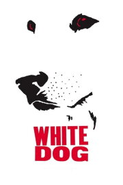 White Dog White Dog